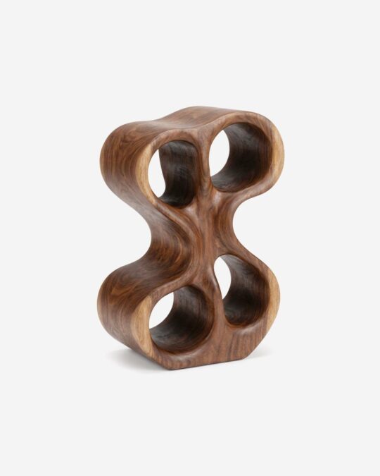 Organic Loop Sculpture